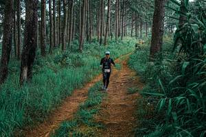 BIB: 
                            <button type="button" onclick="openModal(25655340)" class="btn btn-primary btn-sm float-right btn-popup" data-toggle="modal" data-target=".modal-high-quality">
                        <i class="fas fa-shopping-cart"></i> Add to Cart
                    </button>
                                            <button type="button" onclick="isThisMe(25655340, true)" class="btn btn-success btn-sm float-right btn-popup btn-isme hidden" data-toggle="tooltip" data-placement="bottom" title="นี่คือรูปของคุณใช่ไหม คลิกที่นี่เพื่อเอาเข้าอัลบั้ม">
                        <i class="fas fa-plus"></i> Add to album
                    </button>
                    <button type="button" onclick="isThisMe(25655340, false)" class="btn btn-warning btn-sm float-right btn-popup btn-isnotme hidden">
                        <i class="fas fa-ban"></i> Remove from album
                    </button>